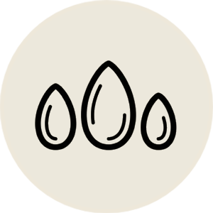 Semillas